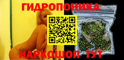 сатива Обь