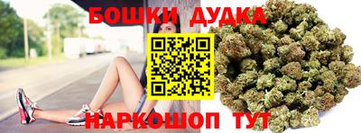 сатива Обь