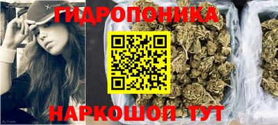 сатива Обь