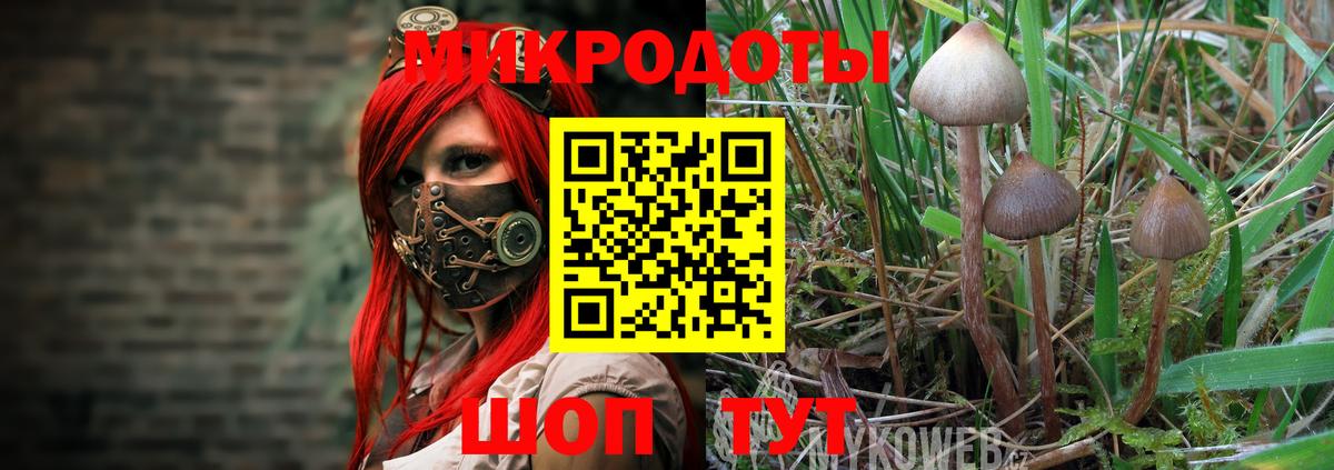 Псилоцибиновые грибы ЛСД Серов
